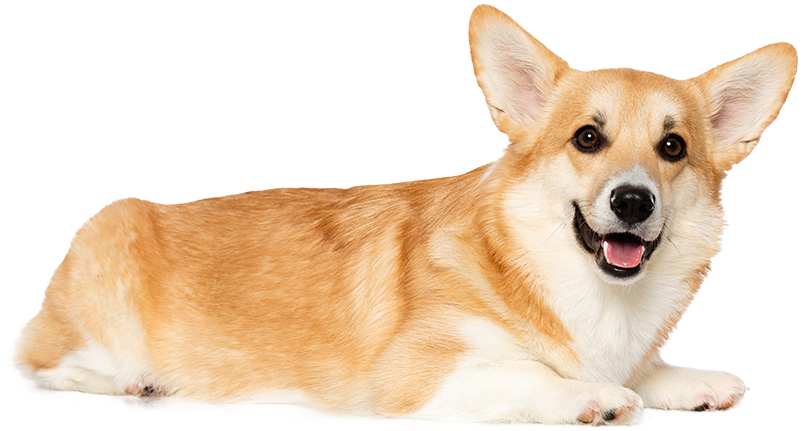 shutterstock_1287182623_edited-sized